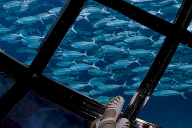 Glass Bottom Boat Water Activity in Montego Bay Jamaica - Practical planning tips for a smoother outing