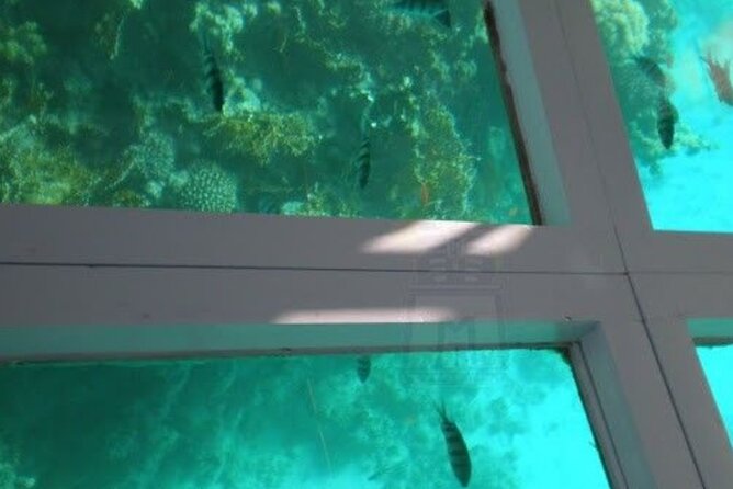 Glass Bottom Boat Water Activity in Montego Bay Jamaica - Getting to the water with Simpson Tours Jamaica