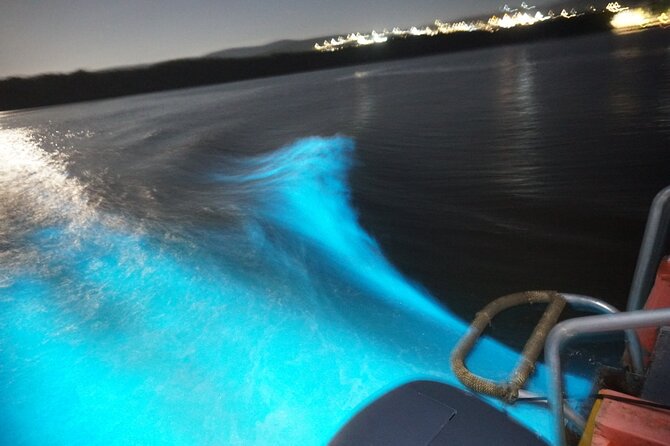 Glistening Waters Luminous Lagoon Night tour with swim option - Choosing between the boat and the swim