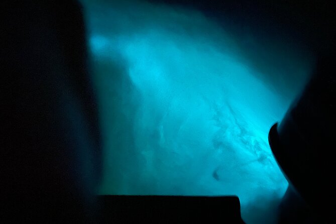 Glistening Waters Luminous Lagoon Night tour with swim option - Jamaican dancing and the local feel