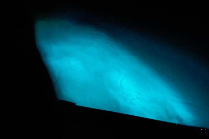 Glistening Waters Luminous Lagoon Night tour with swim option - Who will enjoy this night tour?