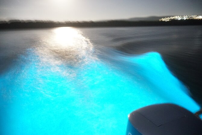 Glistening Waters Luminous Lagoon Night tour with swim option - Timing, booking, and cancellation advice
