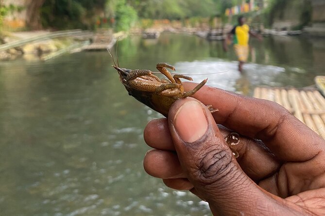 Great River Rafting - Limestone Foot Massage and ATV Rides From Montego Bay - Who Will Enjoy This Montego Bay Excursion