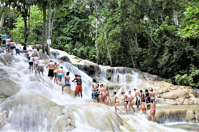 Green Grotto Caves and Dunn's River Falls Guided Tour with Admission - The drive shows you more than the two attractions