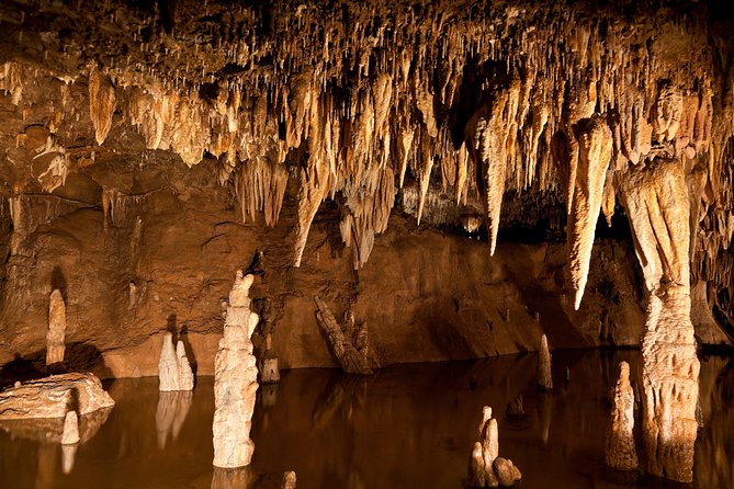 Green Grotto Caves Excursion from Montego Bay - Entering the Green Grotto Caves