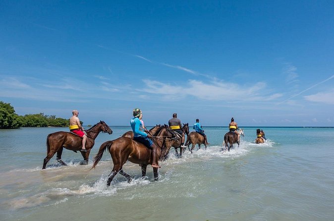 Half day Horse Back Riding and Bamboo Rafting Experience from Ocho Rios - Is $128.25 a fair price?