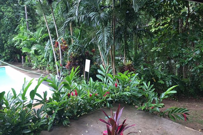 Half-Day Private Martha Brae Rafting Tour from Montego Bay - How to plan the day well