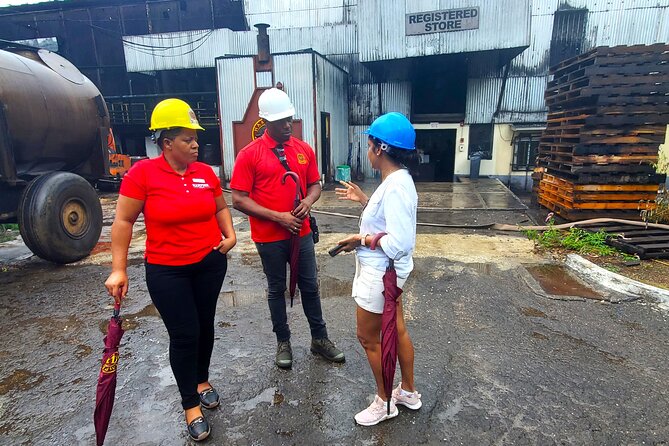 Hampden Estate Rum Tour and Lunch from Montego Bay - Is $195 a fair price?