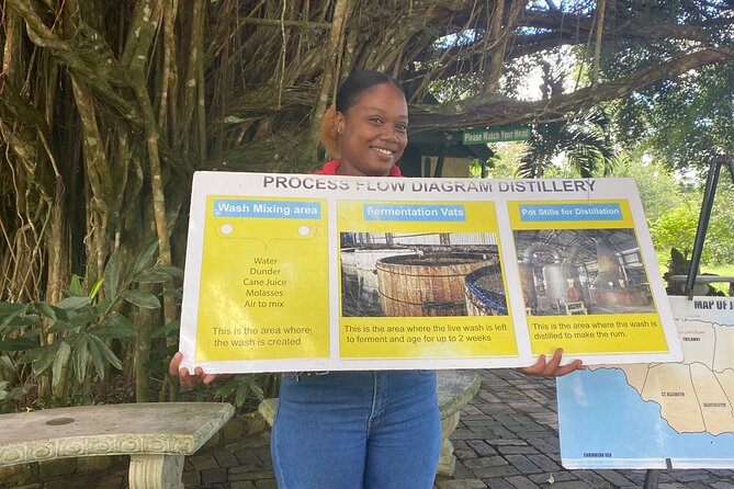 Hampden Rum Factory Tour With French Guide - Why this tour feels different from a standard Montego Bay outing