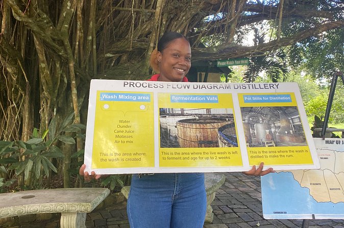Hampden Rum Factory Tour With French Guide - Practical details before you reserve