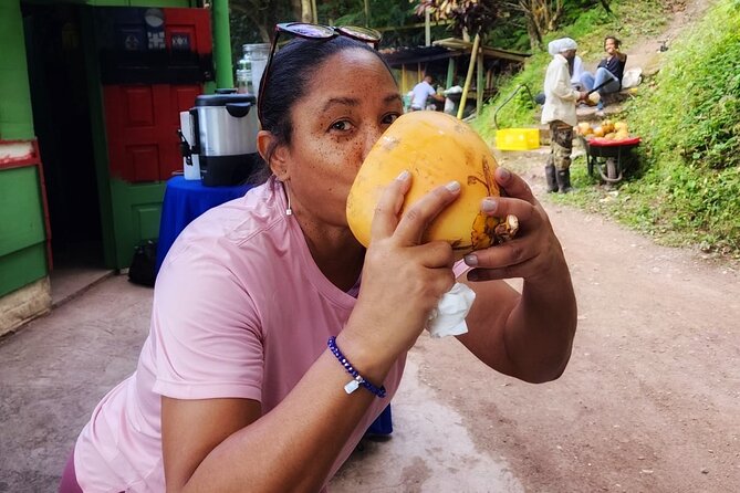 Healing Guided Nature Experience and Waterfall Brunch in Jamaica - Tea stops and small links to local culture