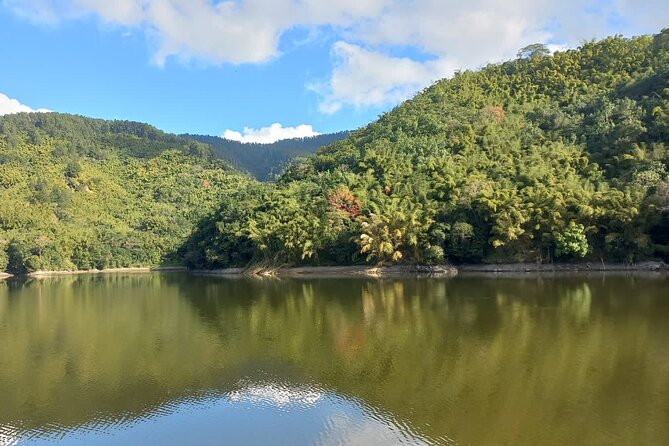 Healing Guided Nature Experience and Waterfall Brunch in Jamaica - Ten to fifteen minutes of yoga beside nature