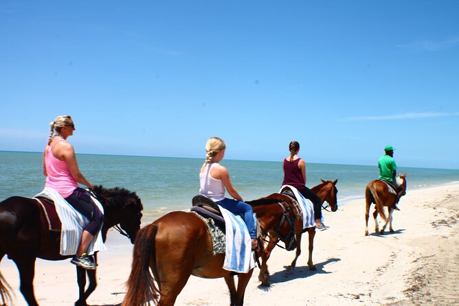 Heritage Beach Horseback Riding Tour - Why the land-and-water format matters