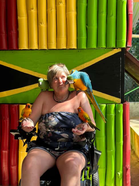 highlight tour bamboo Rafting, Doctor cave beaches - Key points to know before booking