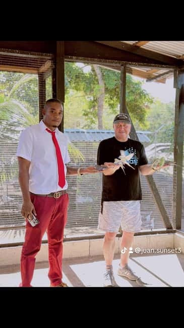 highlight tour bamboo Rafting, Doctor cave beaches - A Flexible Day Around Montego Bay