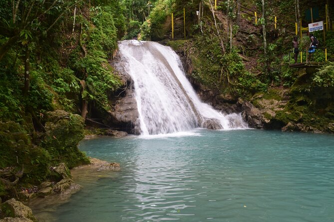 Horse Back Riding and Blue Hole From Montego Bay - Scotchies Drax Hall for Jamaican jerk