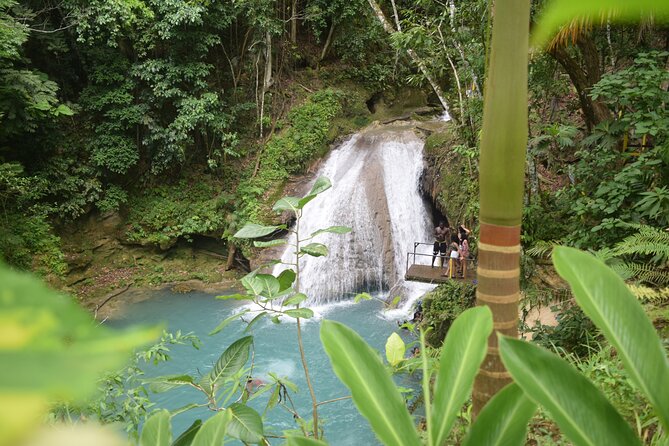 Horse Back Riding and Blue Hole From Montego Bay - Who should book this excursion
