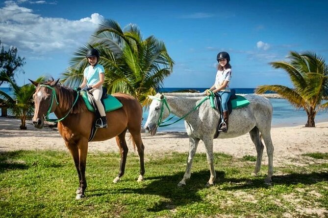 Horseback Ride and Swim Jamaica - Along the Beach and Toward the Water