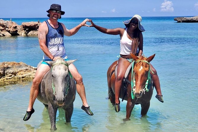 Horseback Ride and Swim Jamaica - How the Horses and Guides Affect the Experience