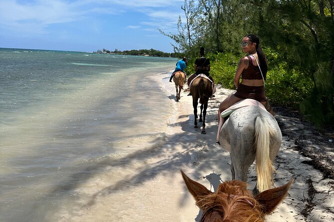 Horseback Ride and Swim Tour In Montego Bay - A Gentle Ride Through Farmland and Local Jamaica