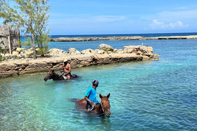 Horseback Ride and Swim Tour In Montego Bay - What the Staff Does Well