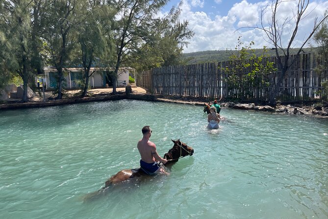 Horseback Ride and Swim Tour In Montego Bay - Is $170 a Fair Price?