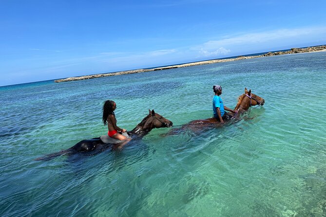 Horseback Ride and Swim Tour In Montego Bay - The Horse Swim Is the Main Event