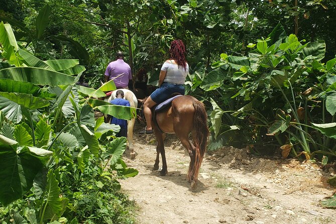 Horseback 'Ride N Swim' & Dunns River Falls from Montego Bay - Quick facts that matter before you book