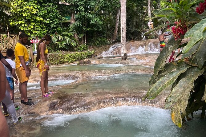 Horseback 'Ride N Swim' & Dunns River Falls from Montego Bay - Is $102 a fair price?