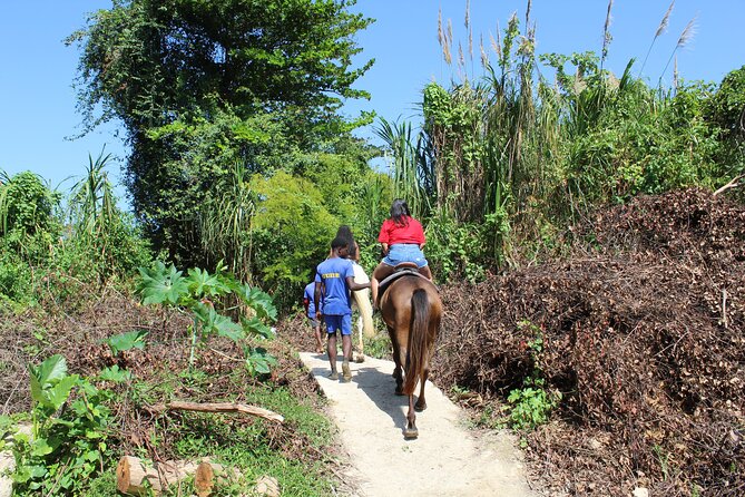 Horseback Ride & Swim Jamaica/Montego Bay - The beach and the Caribbean swim