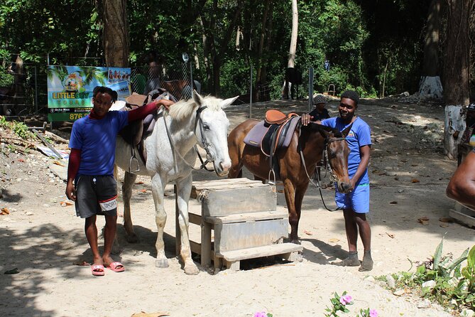 Horseback Ride & Swim Jamaica/Montego Bay - A group of no more than 13 riders
