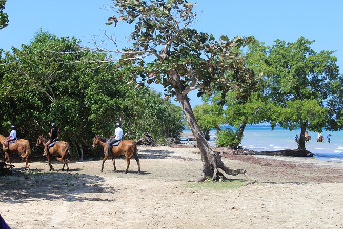 Horseback Ride & Swim Jamaica/Montego Bay - What $150 includes, and what it does not