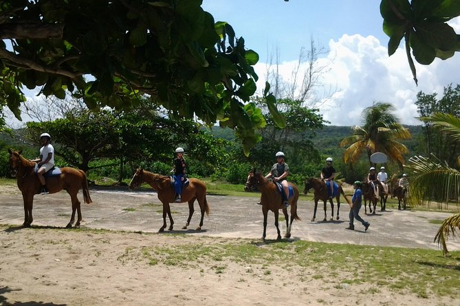 Horseback Riding and Swim from Montego Bay - Key points to know before you book