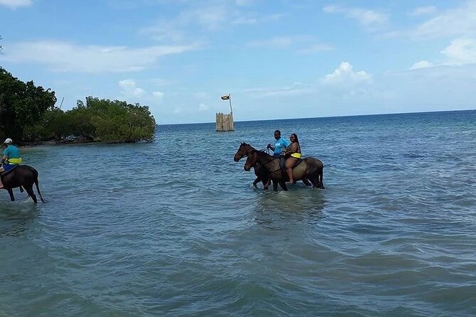 Horseback Riding, ATV and Ocean Zip lining combo from Montego Bay - The horse ride into the Caribbean Sea