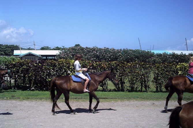 Horseback Riding, Blue Hole, Dunn's River, River Rafting and Tubing Private Tour - Climbing Dunn’s River Falls from the sea