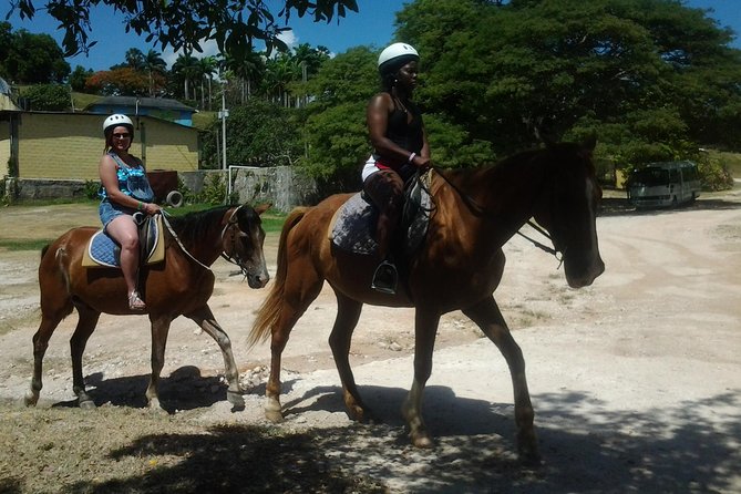 Horseback Riding Dunn's River Falls Adventure from Montego Bay - Key points to know before booking
