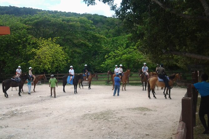 Horseback Riding Dunn's River Falls Adventure from Montego Bay - Is $186.35 a fair price?