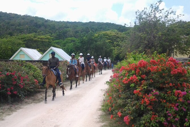 Horseback Riding Dunn's River Falls Adventure from Montego Bay - Who should book this experience?