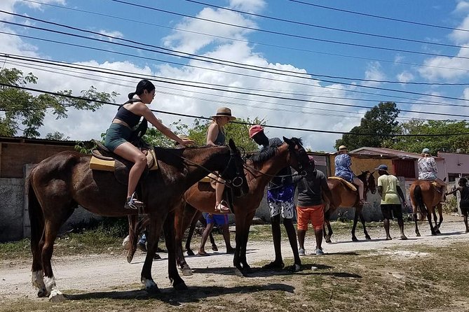 Horseback Riding from Montego Bay - Three hours can feel short for $200