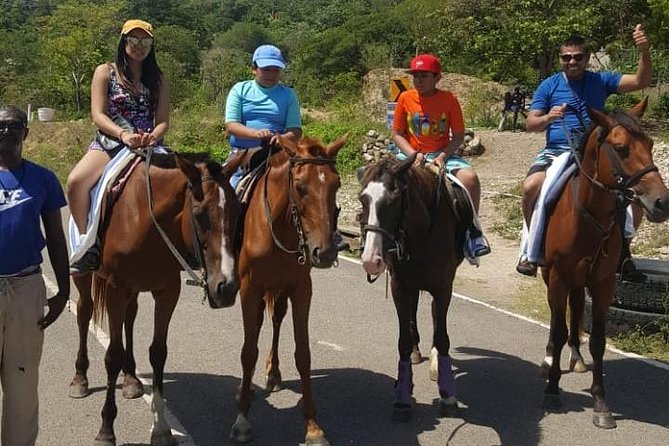 Horseback Riding from Montego Bay - Who will enjoy this Jamaican horseback outing?