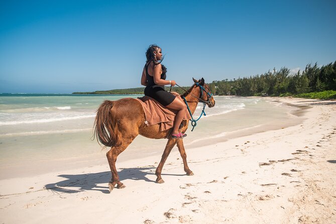 Horseback Riding in Montego Bay - Who Will Get The Most From This Tour