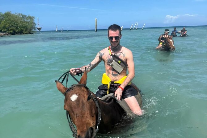 Horseback Riding In The Ocean from Montego Bay Private Transfer - Why private transport changes the value
