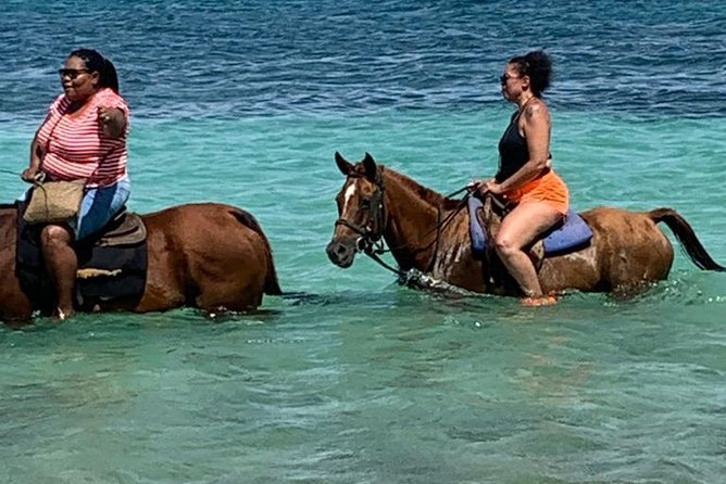Hour Horseback Riding Guided Tour from Runaway Bay - The key points at a glance