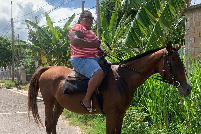 Hour Horseback Riding Guided Tour from Runaway Bay - Leaving Runaway Bay for the countryside