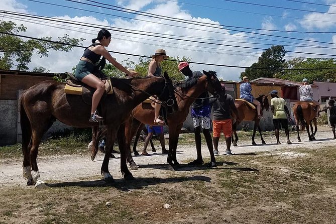 Hour Horseback Riding Guided Tour from Runaway Bay - Reaching the beach and entering the sea