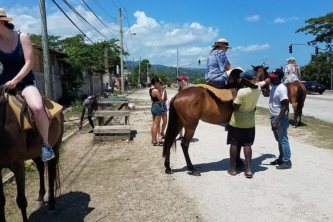 Hour Horseback Riding Guided Tour from Runaway Bay - The optional river experience
