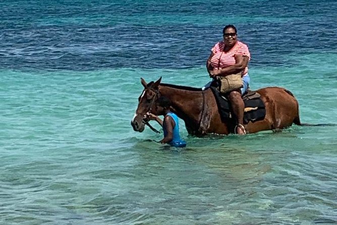 Hour Horseback Riding Guided Tour from Runaway Bay - Meeting the horses and getting comfortable