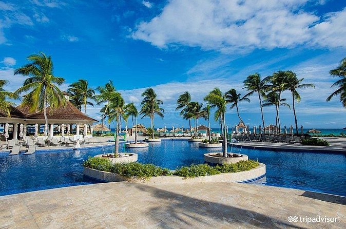 Hyatt Zilara/ Ziva Rose Hall Resort Private Airport Transfer - Service style from Glee Tours Jamaica