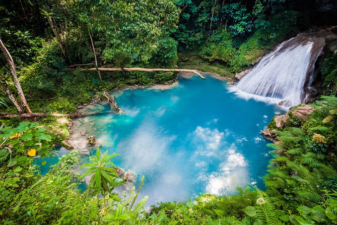 Island Gully Falls Ocho Rios from Montego Bay - A quieter alternative to Dunn’s River Falls