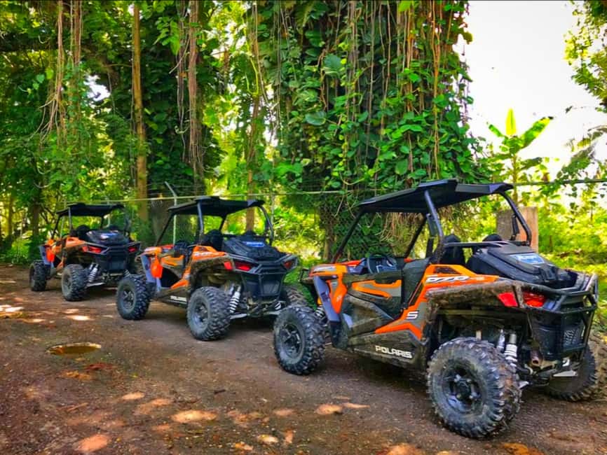 Jamaica: ATV, River Rafting & Blue Hole Tour from Ocho Rios - Three Jamaican settings in one compact outing